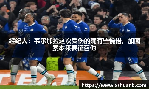 经纪人：韦尔加拉这次受伤的确有些惋惜，加图索本来要征召他